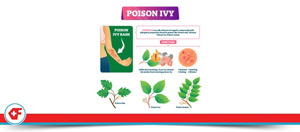 Poison Ivy Treatment Clinic Near Me in Davie FL